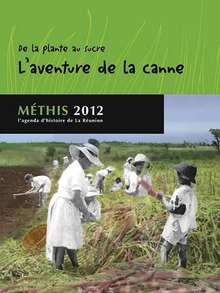 livre : Dela plante au sucre l'aventure de la canne de Fabienne Jonca